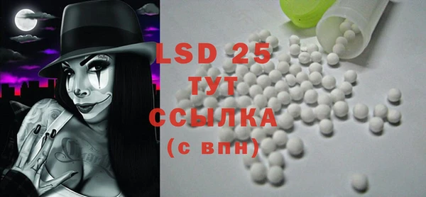 ПСИЛОЦИБИНОВЫЕ ГРИБЫ Пересвет