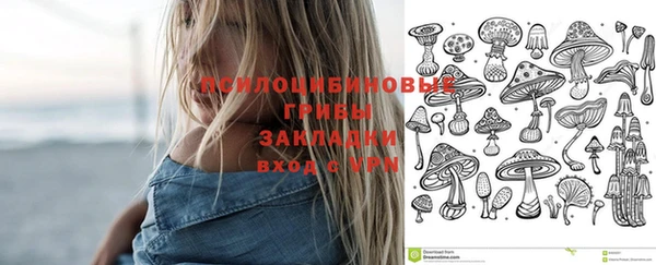 синтетический гашиш Переславль-Залесский