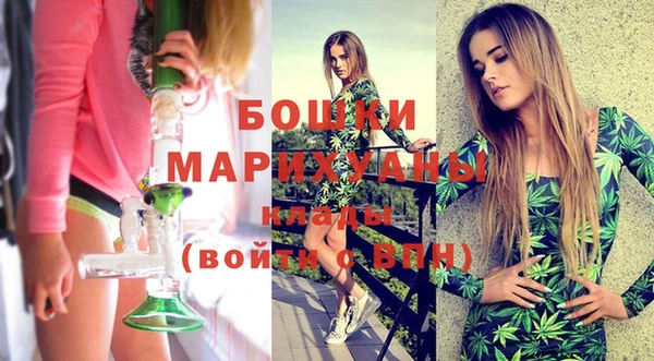 ПСИЛОЦИБИНОВЫЕ ГРИБЫ Пересвет